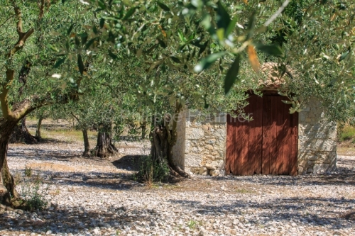 IMG_16075315_drome (26) buis les baronnies (parc naturel regiona