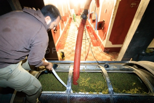 IMG_16091556_ARDECHE (07) BOURG SAINT ANDEOL NOTRE DAME DE COUSI