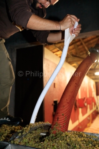 IMG_16091571_ARDECHE (07) BOURG SAINT ANDEOL NOTRE DAME DE COUSI