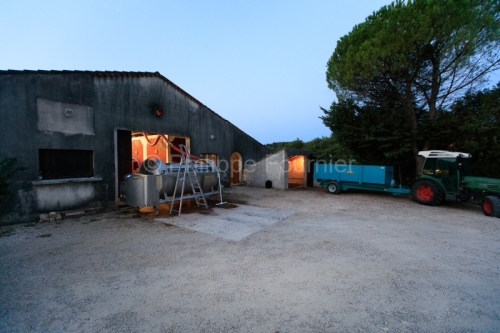 IMG_16091574_ARDECHE (07) BOURG SAINT ANDEOL NOTRE DAME DE COUSI