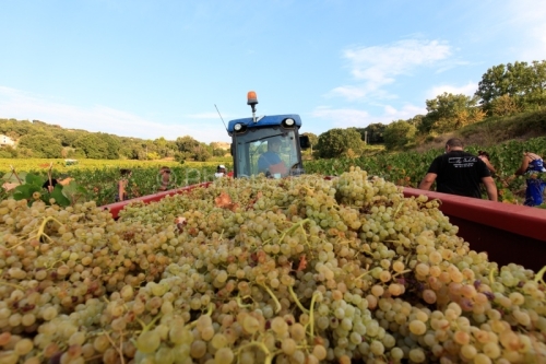 IMG_16091642_ARDECHE (07) BOURG SAINT ANDEOL NOTRE DAME DE COUSI