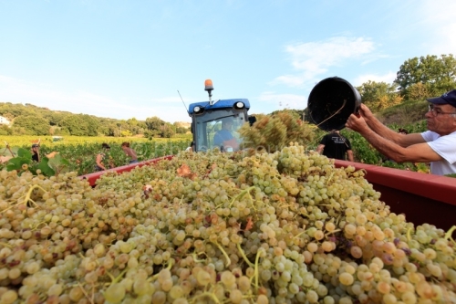 IMG_16091644_ARDECHE (07) BOURG SAINT ANDEOL NOTRE DAME DE COUSI