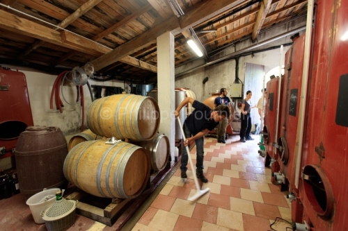 IMG_16091783_ARDECHE (07) BOURG SAINT ANDEOL NOTRE DAME DE COUSI