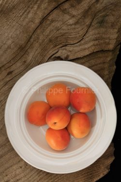 IMG_17074616_Drôme (26) culinaire abricots bergeron