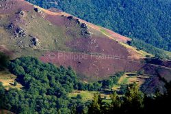 IMG_17085385_Ardèche (07) laval d'aurelle parc naturel régiona