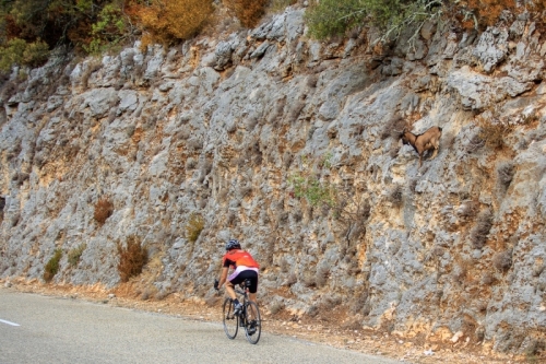 IMG_17108122_Ardeche (07) vallon pont d'arc reserve naturelle de