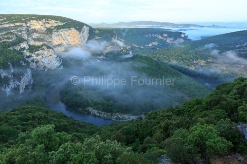 IMG_18056518_Ardèche (07)  vallon pont d'arc réserve naturelle