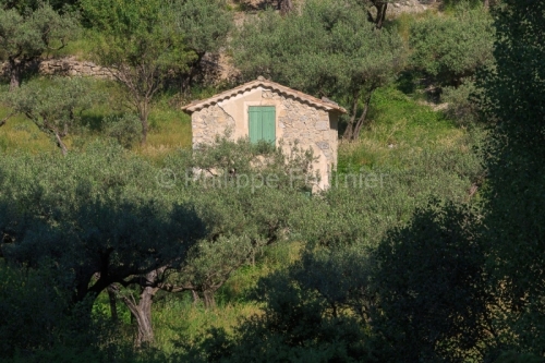 IMG_18060545_drome (26)  buis les baronnies paysage drôme prove