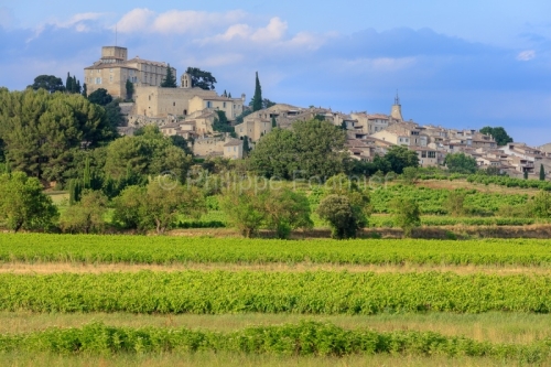 IMG_18068360_VAUCLUSE (84)  ANSOUIS VUE GéNERALE LE VIGNOBLE AU