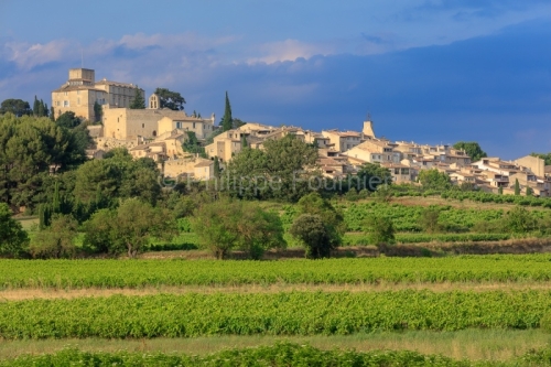 IMG_18068371_VAUCLUSE (84)  ANSOUIS VUE GéNERALE LE VIGNOBLE AU