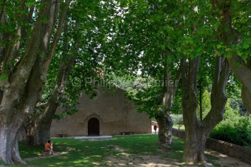 IMG_18068826_VAUCLUSE (84)  VAUGINES PATRIMOINE ALLéE DE PLATAN