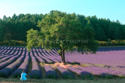 IMG_18071420_drôme (26)  aurel drôme provençale une femme pho