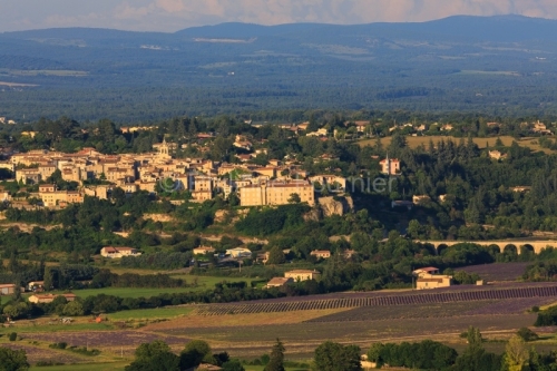 IMG_18071465_VAUCLUSE (84)  SAULT VUE GéNERALE CHAMP DE LAVANDE