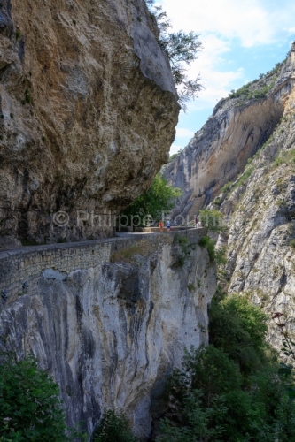 IMG_18072821_DROME (26)  ÉCHEVIS PARC NATUREL REGIONAL DU VERC