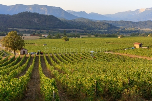 IMG_18094624_DROME (26)  CHATILLON EN DIOIS PARC NATUREL REGIONA