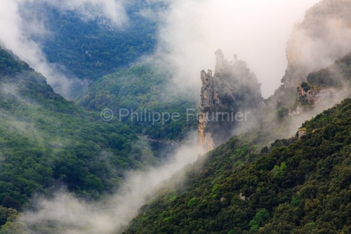 IMG_19053500_Ardeche (07) saint remèze réserve naturelle des g