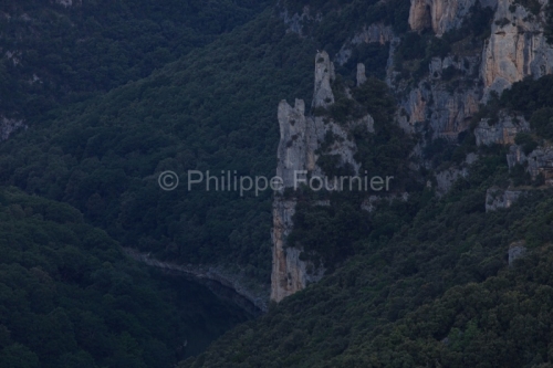 IMG_19064641_ARDèCHE (07)  SAINT REMèZE RéSERVE NATURELLE DES