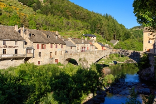 IMG_19066750_LOZèRE (48) PONT DE MONTVERT SUD MONT LOZèRE PARC