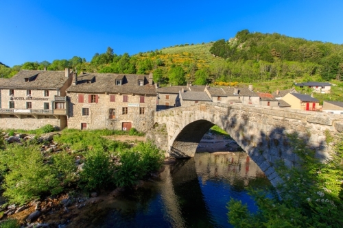 IMG_19066755_LOZèRE (48) PONT DE MONTVERT SUD MONT LOZèRE PARC
