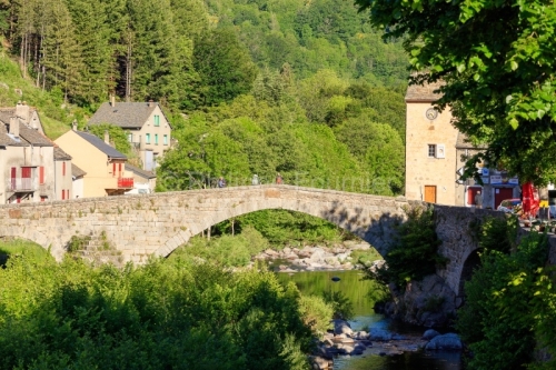 IMG_19066770_LOZèRE (48) PONT DE MONTVERT SUD MONT LOZèRE PARC