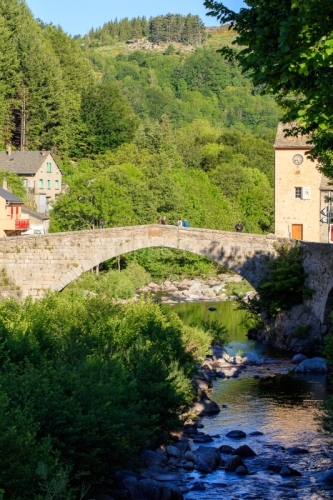 IMG_19066779_LOZèRE (48) PONT DE MONTVERT SUD MONT LOZèRE PARC