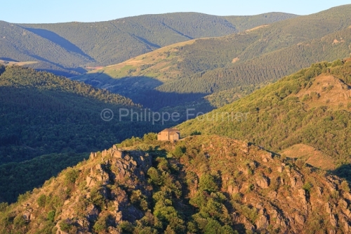 IMG_19075815_LOZèRE (48) VILLEFORT PARC NATIONAL DES CéVENNES,