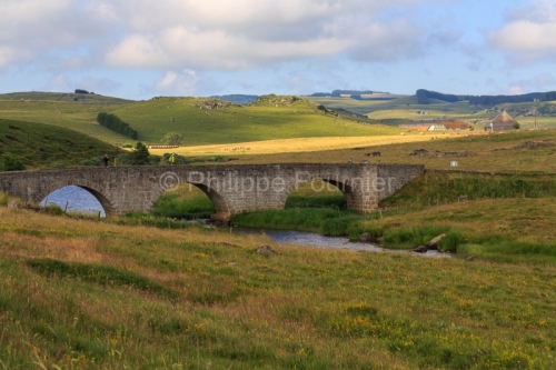 IMG_19076146_LOZèRE (48) MARCHASTEL MONTS D'AUBRAC CHEMIN DE CO