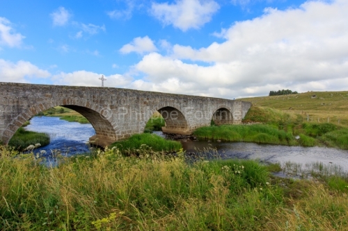 IMG_19076165_LOZèRE (48) MARCHASTEL MONTS D'AUBRAC CHEMIN DE CO