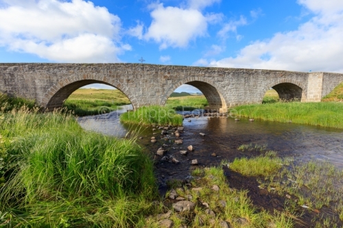 IMG_19076169_LOZèRE (48) MARCHASTEL MONTS D'AUBRAC PONT DE MARC