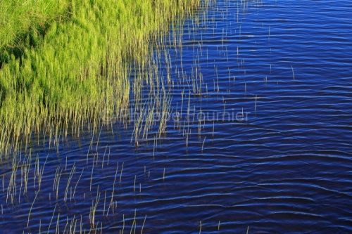 IMG_19076290_LOZèRE (48) MARCHASTEL MONTS D'AUBRAC LA RIVIèRE