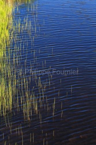 IMG_19076292_LOZèRE (48) MARCHASTEL MONTS D'AUBRAC LA RIVIèRE