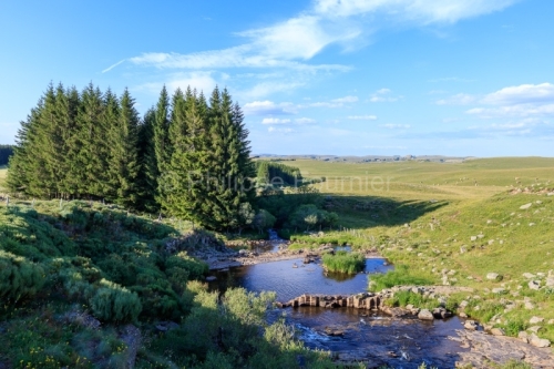 IMG_19076924_LOZèRE (48) NASBINALS MONTS D'AUBRAC RIVIèRE LA P