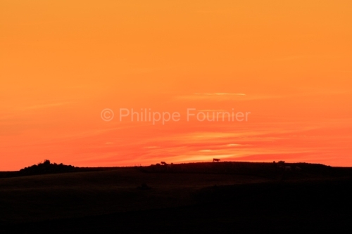 IMG_19077202_LOZèRE (48) NASBINALS MONTS D'AUBRAC COUCHER DE SO