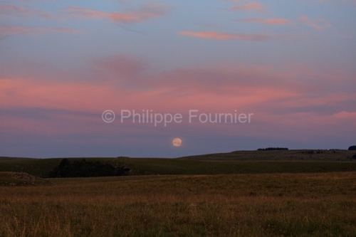 IMG_19077904_LOZèRE (48) NASBINALS MONTS D'AUBRAC LEVER DE LUNE