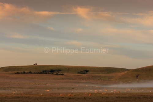IMG_19077960_LOZèRE (48) MARCHASTEL MONTS D'AUBRAC BRUME MATINA