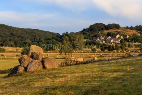 IMG_19077971_LOZèRE (48) MARCHASTEL MONTS D'AUBRAC CHAOS GRANIT