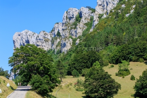 IMG_1908261260_drôme (26) parc naturel régional du vercors roc