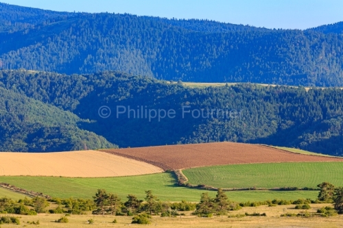 IMG_19088130_Lozère (48) Fraissinet de Fourques Causse Mejean p