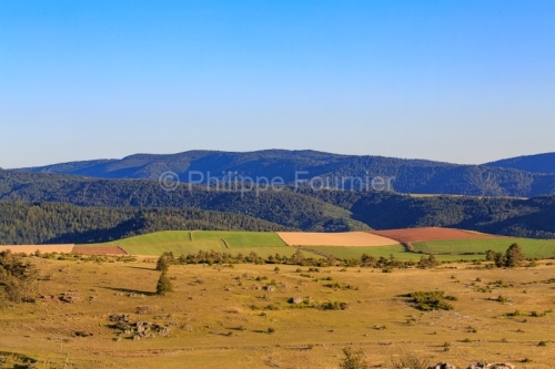 IMG_19088143_Lozère (48) Fraissinet de Fourques Causse Mejean p