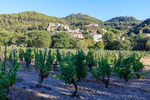 IMG_1909121316_Vaucluse (84) Gigondas Ville et Village le villag