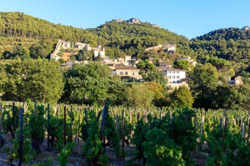 IMG_1909121356_Vaucluse (84) Gigondas Ville et Village le villag