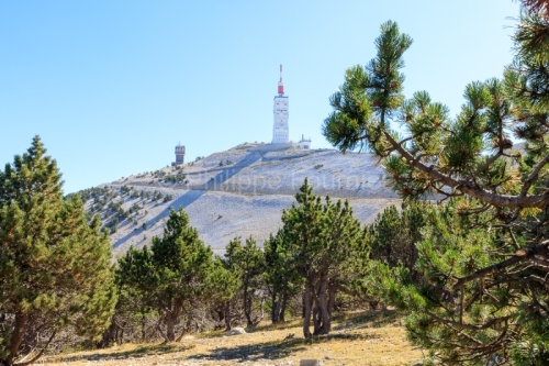 IMG_1909131678_Vaucluse (84) Bédoin Le Mont Ventoux forêt doma