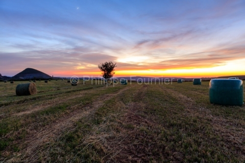IMG_1906241628_Lozère (48)  Les Bondons Mont Lozère soleil cou