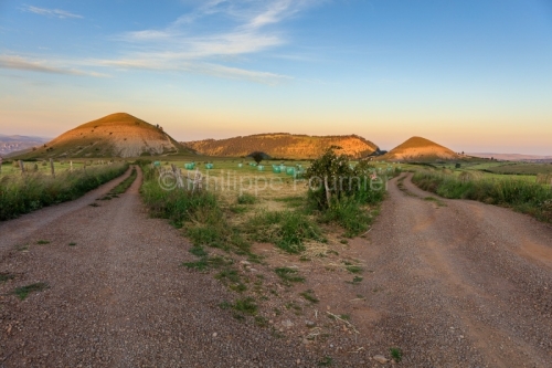 IMG_1906251638_Lozère (48)  Les Bondons Mont Lozère soleil lev
