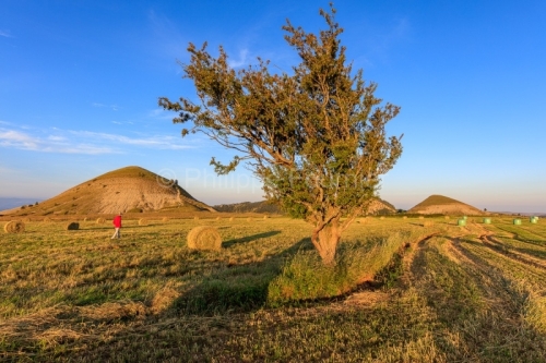 IMG_1906251671_Lozère (48)  Les Bondons Mont Lozère soleil lev
