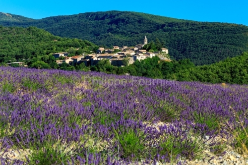 IMG_1907051561_Drôme (26) Saint Auban sur l'Ouvèze Parc Nature