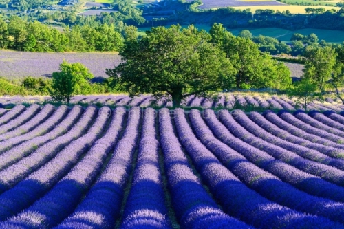IMG_1907051668_Drôme (26) Le Poët Sigillat Parc Naturel Régio
