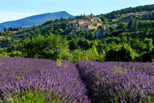 IMG_1907061772_le village, la Montagne du Buc
