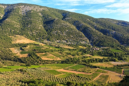 IMG_1907062065_Drôme (26)  Malaucène Vallée du Toulourenc, ha
