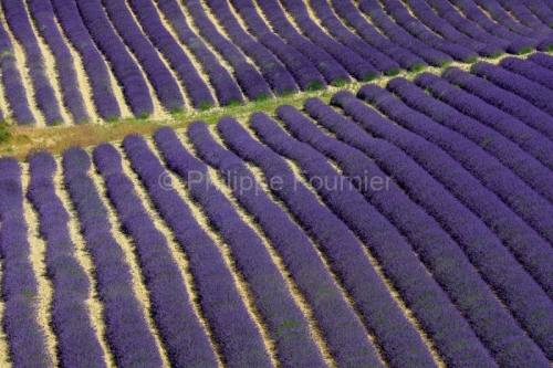IMG_1907072176_Drôme (26) Aulan Parc Naturel Regional des Baron
